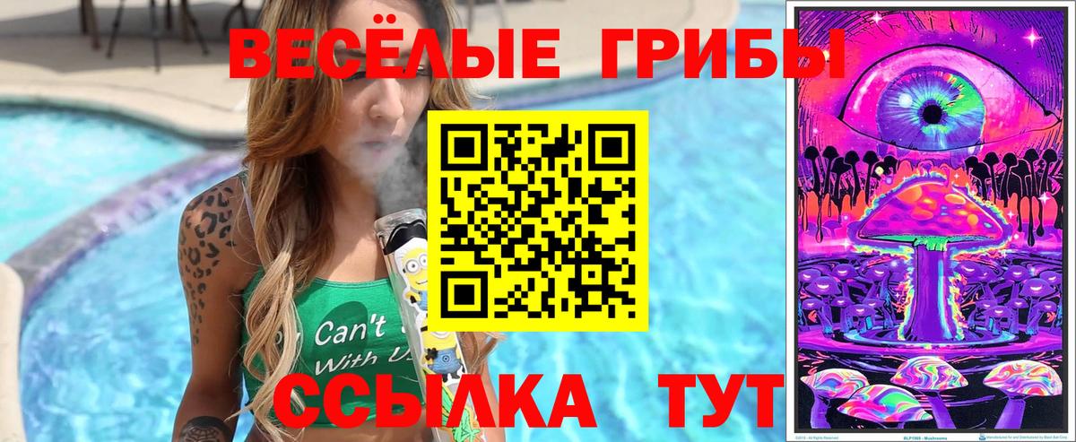 Галлюциногенные грибы MAGIC MUSHROOMS  Вход с VPN  хочу наркоту  Морозовск 
