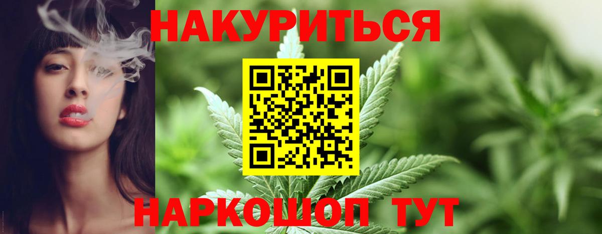 Конопля сатива Морозовск